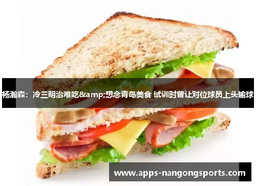 杨瀚森：冷三明治难吃&想念青岛美食 试训时曾让对位球员上头输球